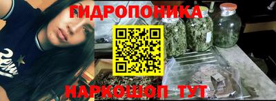 прущие грибы Ярцево