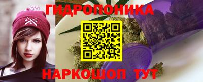 прущие грибы Ярцево