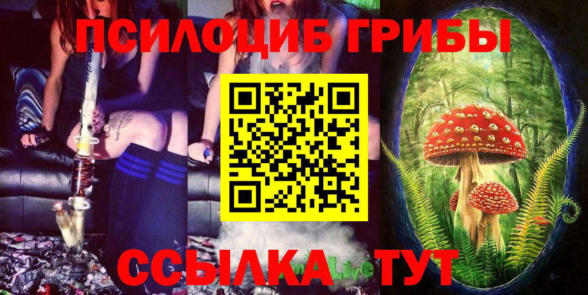 Псилоцибиновые грибы GOLDEN TEACHER Барнаул