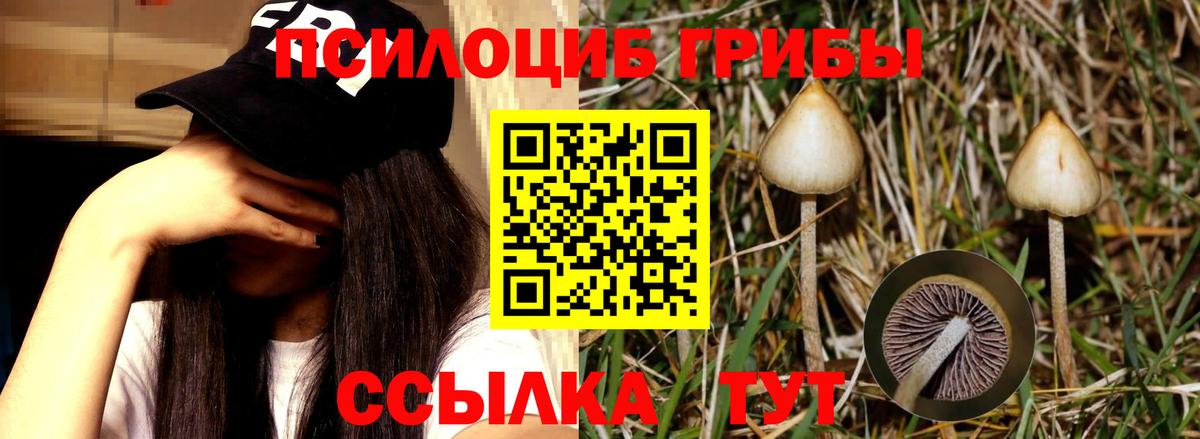 Барнаул  Галлюциногенные грибы GOLDEN TEACHER  Псилоцибиновые грибы ЛСД  Вход с VPN 